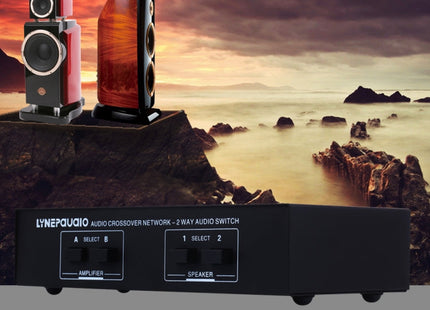 B822 Passive Speaker Switch 2 Channel Power Amplifier Audio Switch Loudspeaker,  2 Input and 2 Output