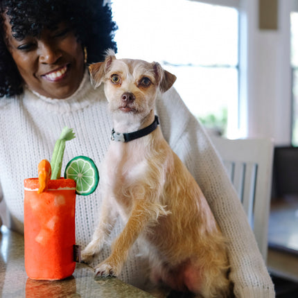 Buddy Mary dog toy