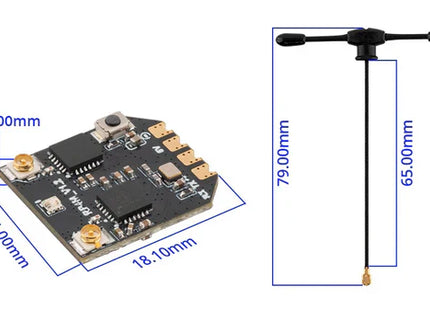 Radiomaster RP4TD-M ExpressLRS 2.4GHz Mini True Diversity Receiver