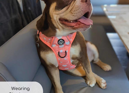 Rugged Rover™ Harness - Peachy Hearts