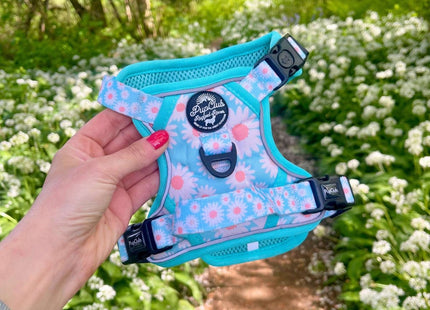 Rugged Rover™ Harness - Pastel Daisy