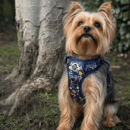 Rugged Rover™ Harness - Summer Meadow