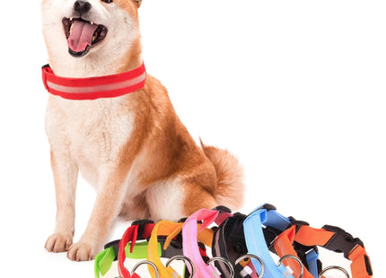 Adjustable 3-Mode LED Flashing Dog Collar, Size: S