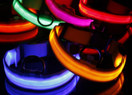 Adjustable 3-Mode LED Flashing Dog Collar, Size: S