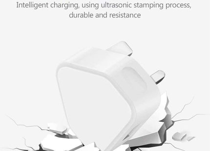 5V / 1A UK Plug USB Charger