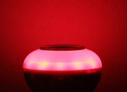 Bluetooth, Support WiFi Phone Control, Adjustable Light, with Remote Control