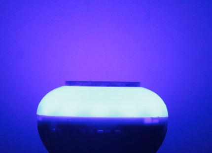 Bluetooth, Support WiFi Phone Control, Adjustable Light, with Remote Control