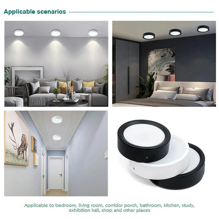 Led  220V Ceiling Downlights