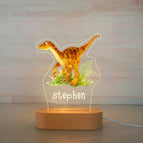 Warm Light / 20Dinosaur