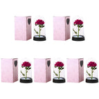 5pcs S3