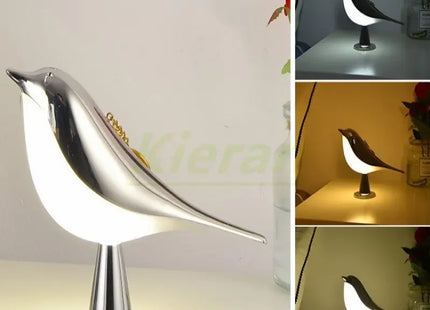 Modern Simple Magpie Led Desk Light