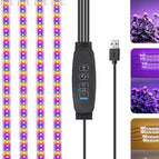 3 Colors 4Heads / USB