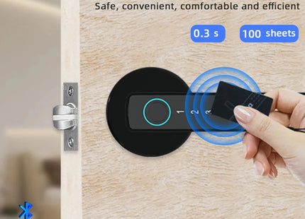 Digital Electronic Lock with Password/Key/IC Card/ Smart Life