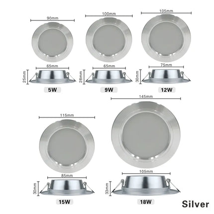 220V Ceiling Light