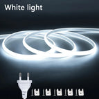 White light / 10m