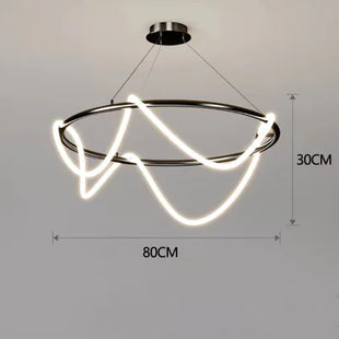 Modern Long Hose Led Ceiling Chandelier
