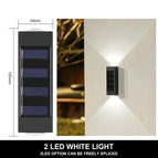 2LED-1PCS-WHITE