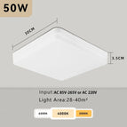 Square 50W 1pcs / Warm White | 220V Voltage