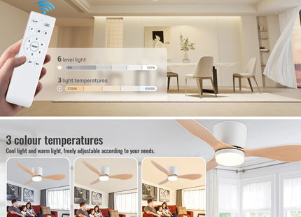 Ceiling Fan With Light, 6-speed choice, Reversible DC motor