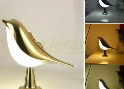 Modern Simple Magpie Led Desk Light