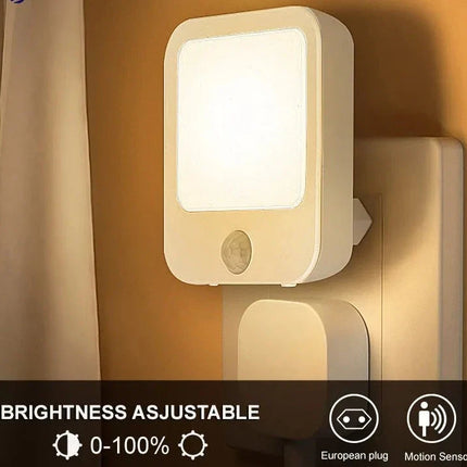 Night Light Motion Sensor With LED Light
