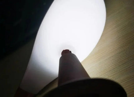 Modern Simple Magpie Led Desk Light