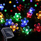 Cherry colorful / 6.5m 30leds 2 modes