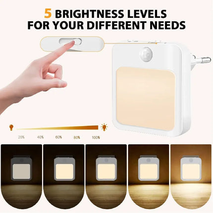Night Light Motion Sensor With LED Light