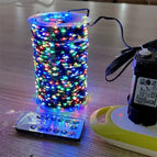 RGB / EU Plug / 1000LEDs