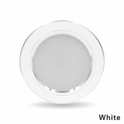220V Ceiling Light