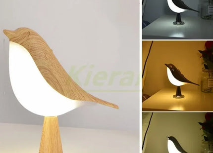 Modern Simple Magpie Led Desk Light