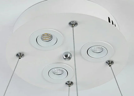 Led Ceiling Chandelier With Feathers Pendant Hanging Light