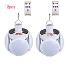 2029Remote 2pcs