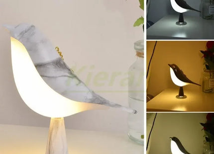 Modern Simple Magpie Led Desk Light