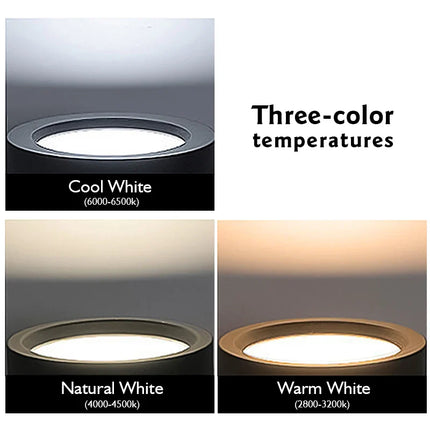 Led  220V Ceiling Downlights