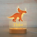 Warm Light / 24Dinosaur