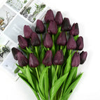 K20 / 10Pcs
