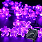 Cherry purple / 6.5m 30leds 2 modes