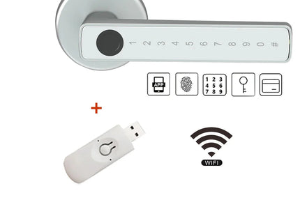 Digital Electronic Lock with Password/Key/IC Card/ Smart Life