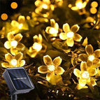 Cherry warm / 6.5m 30leds 2 modes
