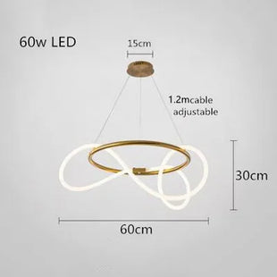 Modern Long Hose Led Ceiling Chandelier