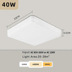 Square 40W 1pcs / Warm White | 220V Voltage