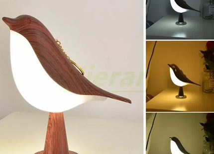 Modern Simple Magpie Led Desk Light