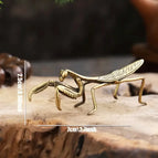 mantis