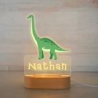 Warm Light / 19Dinosaur