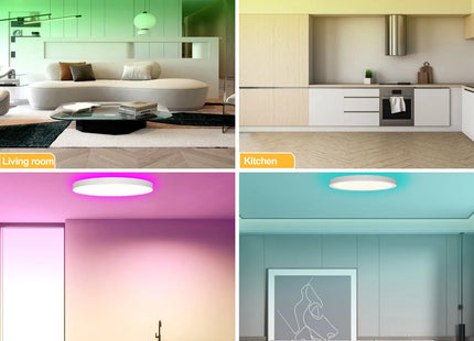 220V LED Ceiling Light Dimmable With Remote Control RGB 3000K-6500K Round Lamp