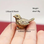 bird