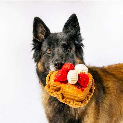 French Toast dog toy