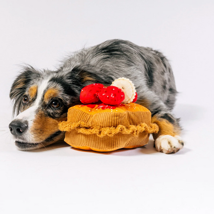 French Toast dog toy