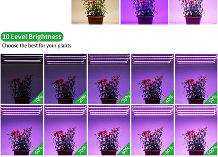 Led Grow Light USB DC5V Timer Phyto Lamp For Plants